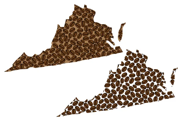 Virginia Vereinigte Staaten Von Amerika Kaffeebohnenkarte Commonwealth Virginia Map Aus — Stockvektor