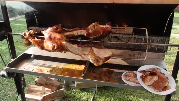 Schweinebraten Auf Dem Gespaltenen Brennholz Gegrilltes Schwein — Stockvideo