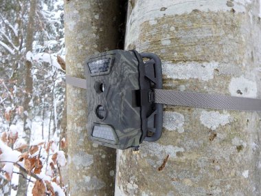 Ormanları, kamera tuzağı kızılötesi ışık ve bir ağaç üzerinde askıları ile bağlı hareket sensörü ile fotoğraf tuzakları