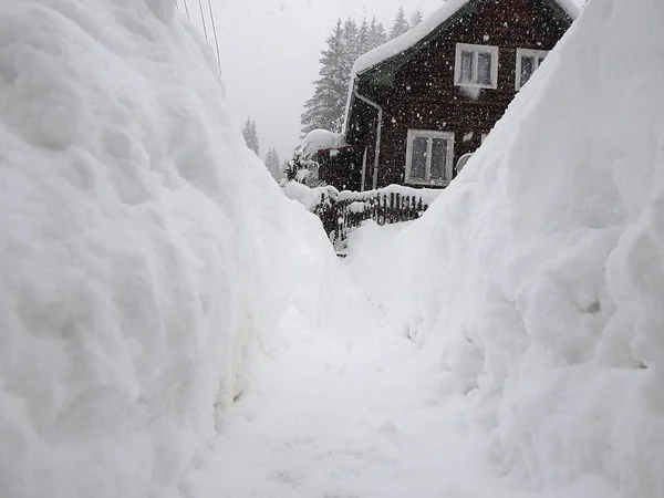 Extreme snow calamity, Winter weather, Snowstorm in Slovakia,