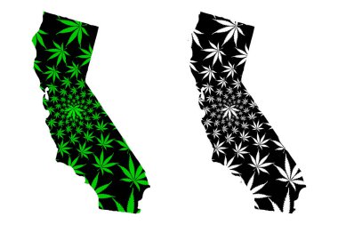 California - harita olduğunu tasarlanmış esrar yaprak
