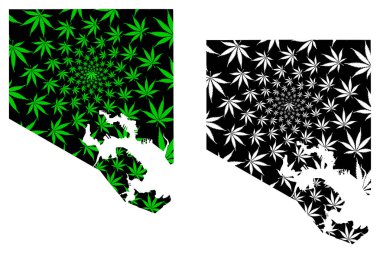 Baltimore Şehir - haritasıdır esrar yaprak tasarlanmış