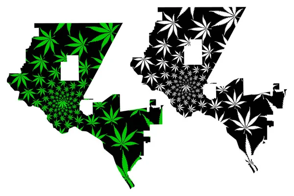El Paso cidade - mapa é projetado folha de cannabis — Vetor de Stock