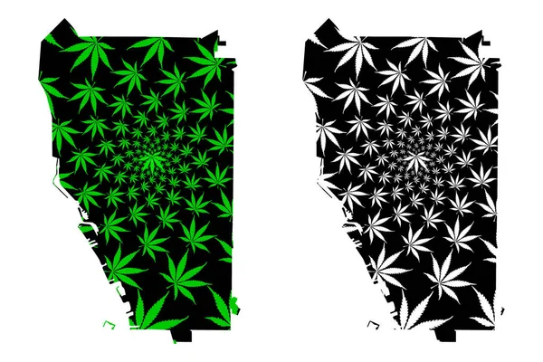 Buffalo cidade - mapa é projetado folha de cannabis — Vetor de Stock