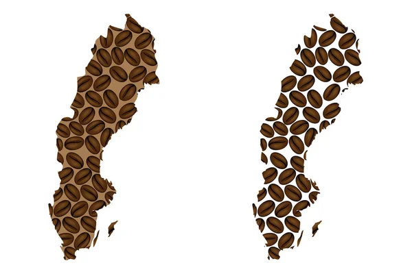 İsveç - kahve çekirdeği Haritası — Stok Vektör