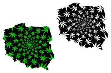 Polonya-harita kenevir yaprağı tasarlanmıştır