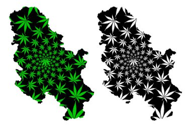 Sırbistan-harita kenevir yaprağı tasarlanmıştır