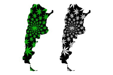 Arjantin-harita kenevir yaprağı tasarlanmıştır