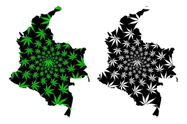 Colômbia - mapa é projetado folha de cannabis — Vetor de Stock