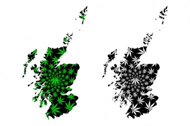 İskoçya - harita esrar yaprağı tasarlanmıştır