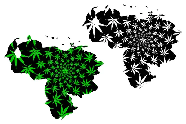 Venezuela - map is designed cannabis leaf — Stock Vector