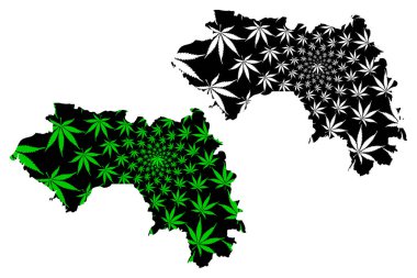 Gine - harita esrar yaprağı tasarlanmıştır