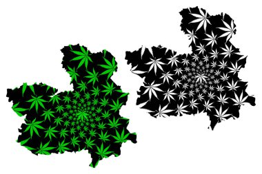 Castilla La Mancha (Ispanya, Özerk Topluluk Krallığı) haritası esrar yaprak yeşil ve siyah, Castile La Mancha Haritası esrar (marihuana, THC) yeşillik yapılmış tasarlanmıştır,
