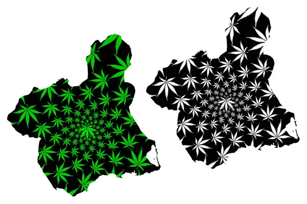 Murcia (Reino de Espanha, Comunidade Autônoma) mapa é projetado folha de cannabis verde e preto, Múrcia mapa feito de maconha (maconha, THC) folhagem , — Vetor de Stock