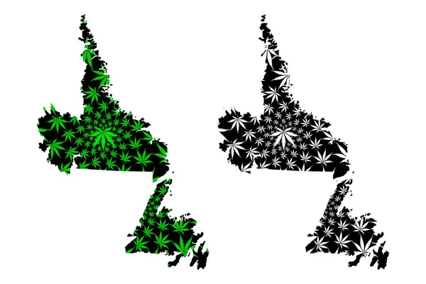 Terranova y Labrador (provincias y territorios de Canadá) mapa está diseñado hoja de cannabis verde y negro, Terranova y Labrador mapa hecho de marihuana (marihuana, THC) follaje , — Archivo Imágenes Vectoriales
