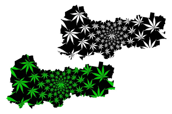 Vologda Oblast (Rússia, Assuntos da Federação Russa, Oblastos da Rússia) mapa é projetado folha de cannabis verde e preto, Vologda Oblast mapa feito de maconha (maconha, THC) folhagem — Vetor de Stock