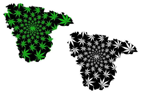 Voronezh Oblast (Rússia, Assuntos da Federação Russa, Oblastos da Rússia) mapa é projetado folha de cannabis verde e preto, Voronezh Oblast mapa feito de maconha (maconha, THC) folhagem — Vetor de Stock