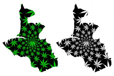 Sivastopol haritası kenevir yaprağı yeşil ve siyah, Sebastopol haritası marihuanadan (marihuana, THC) yapılmıştır.,