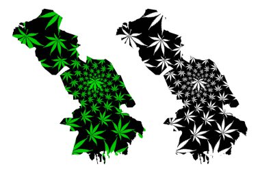 Astrakhan Oblast (Rusya, Rusya Federasyonu Konular, Rusya Oblastlar) harita esrar yaprağı yeşil ve siyah, Astrakhan Oblast harita esrar (marihuana, Thc) yapraklarından yapılmış tasarlanmıştır