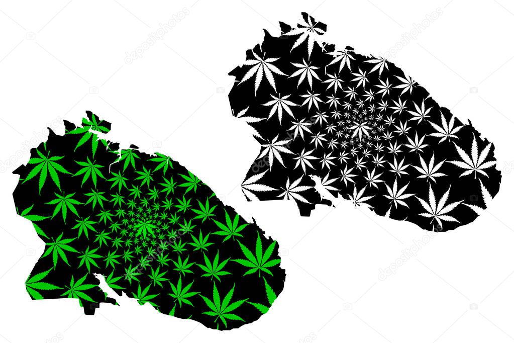 Murmansk Oblast (Russia, Subjects of the Russian Federation, Oblasts of Russia) map is designed cannabis leaf green and black, Murmansk Oblast map made of marijuana (marihuana,THC) foliage