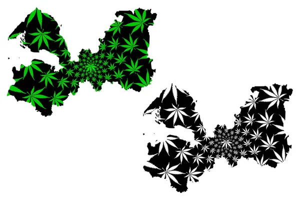 Leningrado Oblast (Russia, Subjects of the Russian Federation, Oblasts of Russia) map is designed cannabis leaf green and black, Leningrado Oblast map made of marijuana (marihuana, THC) foliag — Vector de stock