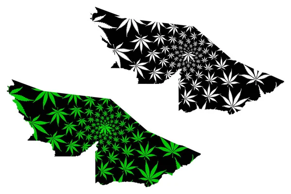 Acre (gebied van Brazilië, federale staat, Federatieve Republiek Brazilië) kaart is ontworpen cannabis bladgroen en zwart, Acre (staat) kaart gemaakt van marihuana (marihuana, THC) foliag — Stockvector