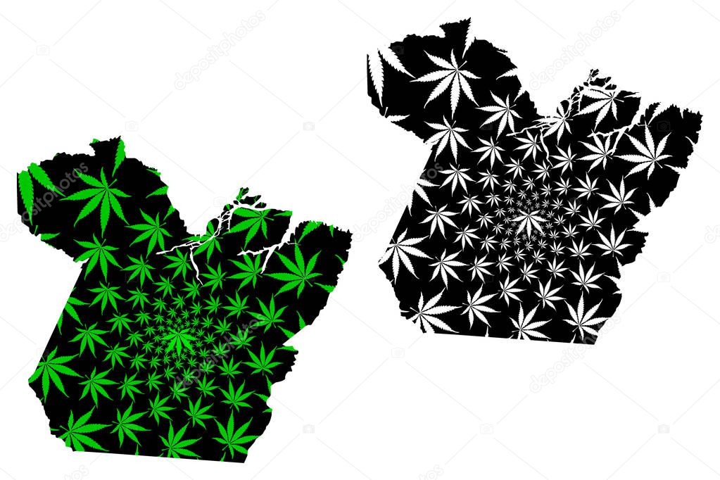 Para (Region of Brazil, Federated state, Federative Republic of Brazil) map is designed cannabis leaf green and black, Para map made of marijuana (marihuana,THC) foliag