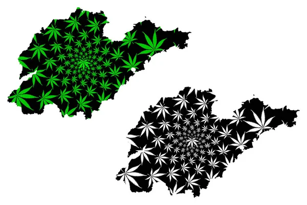 Prowincja Shandong (Podział administracyjny Chin, Chiny, Chińska Republika Ludowa, ChRL) mapa jest zaprojektowana liść konopi zielony i czarny, Shantung Mapa wykonana z marihuany (marihuana, THC) foliag — Wektor stockowy