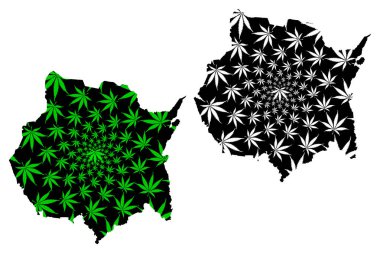 Morelos (Amerika Birleşik Devletleri, Meksika, federal cumhuriyet) harita esrar yaprağı yeşil ve siyah, Özgür ve Egemen Devlet Morelos harita esrar (marihuana, Thc) yeşillik yapılmış tasarlanmıştır