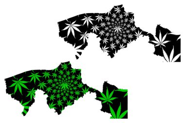 Tabasco (Amerika Birleşik Meksika Devletleri, Meksika, federal cumhuriyet) harita esrar yaprağı yeşil ve siyah, Ücretsiz ve Hükümdar Devlet Tabasco harita esrar (marihuana, Thc) yeşillik yapılmış tasarlanmıştır