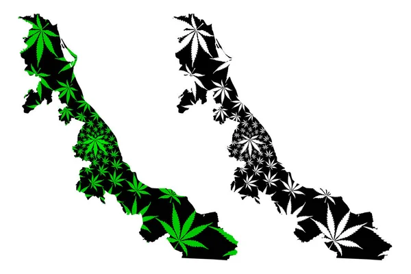 Veracruz (Stany Zjednoczone Meksyku, Meksyk) mapa jest zaprojektowana liść konopi zielone i czarne, darmowe i Sovereign State of Veracruz de Ignacio de La Llave mapę z marihuany (marihuana, THC) liści — Wektor stockowy