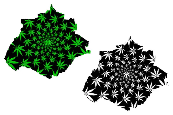 Aguascalientes (Mexikos förenta stater, Mexiko, Förbundsrepubliken) karta är utformad cannabisblad grön och svart, fri och suverän stat Aguascalientes karta gjord av marijuana (Marihuana, THC) lövverk — Stock vektor