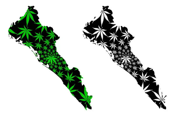 Sinaloa (Amerika Birleşik Devletleri, Meksika, federal cumhuriyet) harita esrar yaprağı yeşil ve siyah, Serbest ve Egemen Devlet Sinaloa harita esrar (marihuana, Thc) yeşillik yapılmış tasarlanmıştır — Stok Vektör