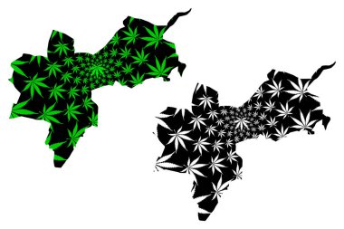 Basel-Stadt (İsviçre Kantonları, İsviçre kantonları, İsviçre Konfederasyonu) haritası esrar yaprağı yeşil ve siyah, Kanton Basel-Stadt harita esrar (marihuana, Thc) foliag yapılmış tasarlanmıştır