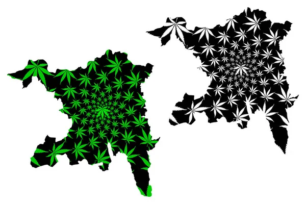 Aargau (Cantões da Suíça, cantões suíços, Confederação Suíça) mapa é projetado folha de cannabis verde e preto, Cantão de Argovia mapa feito de maconha (maconha, THC) foliag — Vetor de Stock