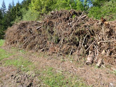 Biyokütle, Ormandaki dalları kes, Ormandaki Dallar, Yığılmış kereste ler yığılmış,