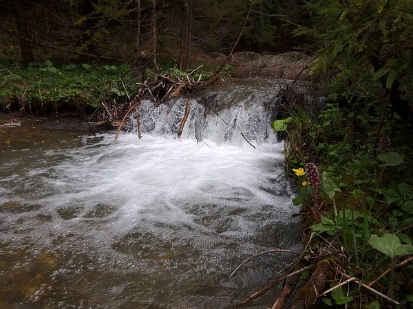 Schöner tiefer Waldwasserfall, kleiner Wasserfall, Wasserfall am Fluss, — Stockfoto