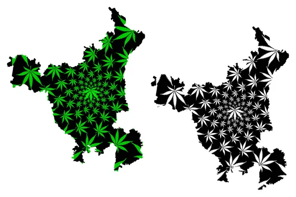Haryana (Estados e territórios sindicais da Índia, Estados Federados, República da Índia) mapa é projetado folha de cannabis verde e preto, Haryana mapa do estado feito de maconha (maconha, THC) foliag — Vetor de Stock