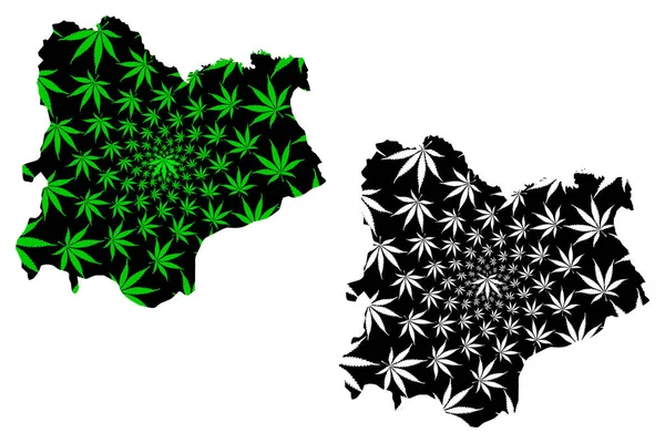 Kirklareli (prowincje Republiki Turcji) mapa jest zaprojektowana liść konopi zielony i czarny, Kirklareli ili mapę z marihuany (marihuana, THC) liści — Wektor stockowy