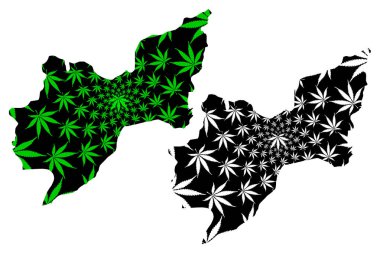 Tekirdağ (Türkiye Cumhuriyeti İlleri) haritası nda kenevir yaprağı yeşil ve siyah, Tekirdağ ili haritası marihuana (marihuana, Thc) yapraklarından yapılmış