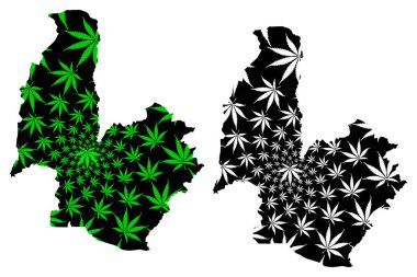 Osmaniye (Türkiye Cumhuriyeti Iller) haritası esrar yaprak yeşil ve siyah tasarlanmıştır, Osmaniye İli esrar (marihuana, THC) yeşillik yapılmış harita