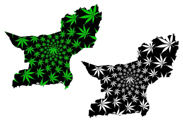 Peta Balochistan (Republik Islam Pakistan, Provinsi dan Distrik Pakistan) dirancang hijau daun ganja dan hitam, peta provinsi Balochistan terbuat dari dedaunan mariyuana (marihuana, THC) - Stok Vektor