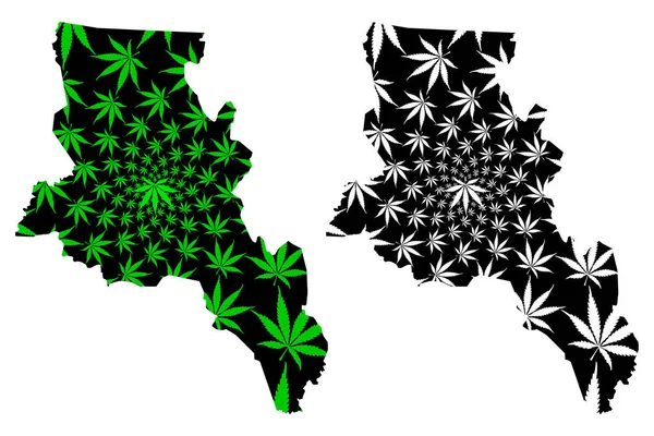 Catamarca (region av Argentina, Argentinsk republik, landskap av Argentina) karta är utformad cannabis Leaf grön och svart, Catamarca karta gjord av marijuana (Marihuana, THC) lövverk — Stock vektor