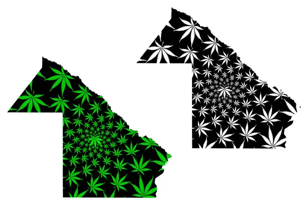 Chaco (Região da Argentina, República Argentina, Províncias da Argentina) mapa é projetado folha de cannabis verde e preto, mapa da província de Chaco feito de maconha (maconha, THC) folhagem —  Vetores de Stock