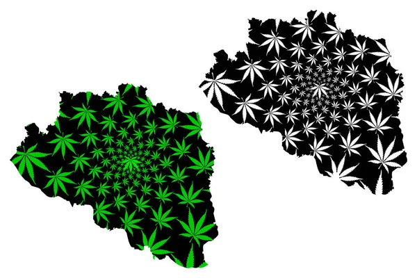 Divisão Rajshahi (Divisões Administrativas de Bangladesh) mapa é projetado folha de cannabis verde e preto, Rajshahi mapa feito de maconha (maconha, THC) folhagem — Vetor de Stock
