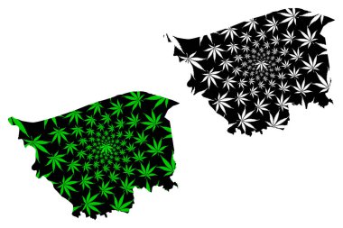 Kafr El Şeyh Valiliği (Mısır Valileri, Mısır Arap Cumhuriyeti) haritası esrar yaprağı yeşil ve siyah, Kafr El Sheikh harita esrar (marihuana, Thc) yapraklarından yapılmış tasarlanmıştır