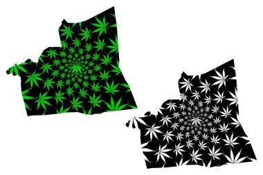 İsmailiye Valiliği (Mısır Valileri, Mısır Arap Cumhuriyeti) haritası esrar yaprağı yeşil ve siyah, İsmailia haritası esrar (marihuana, Thc) yapraklarından yapılmış tasarlanmıştır