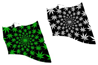 Kuzey Sina Valiliği (Mısır Valileri, Mısır Arap Cumhuriyeti) haritası esrar yaprağı yeşil ve siyah, Güney Sina haritası esrar (marihuana, Thc) yapraklarından yapılmış tasarlanmıştır