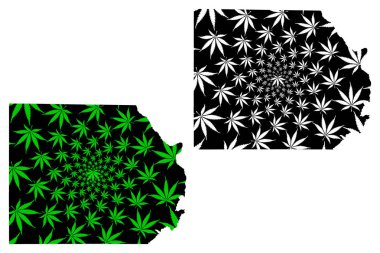 New Valley Governorate (Mısır Valileri, Mısır Arap Cumhuriyeti) haritası esrar yaprağı yeşil ve siyah, El Wadi El Gedid harita esrar (marihuana, Thc) yapraklarından yapılmış tasarlanmıştır