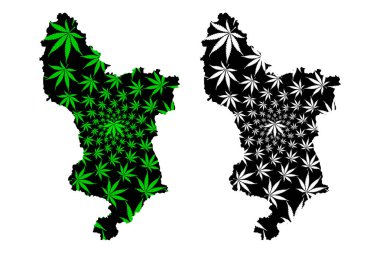Derbyshire (Birleşik Krallık, İngiltere, metropolitan olmayan bölge, shire ilçesi) haritası kenevir yaprağı yeşil ve siyah, Derbyshire haritası marihuanadan (marihuana, Thc) yapılmıştır.
